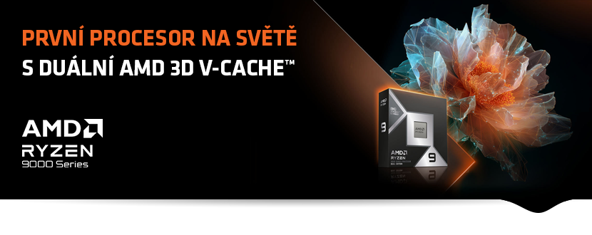 AMD Ryzen série 9000