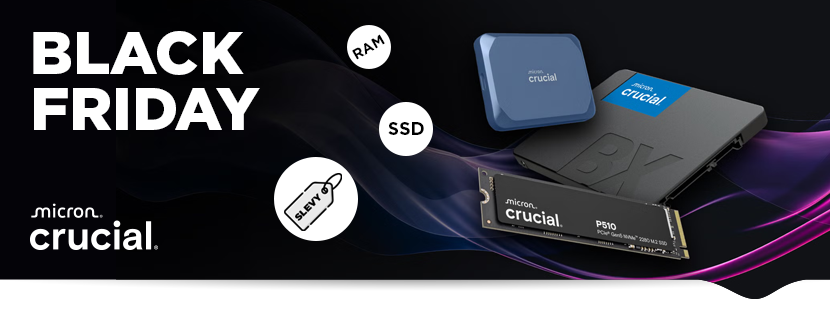 Crucial Black Friday