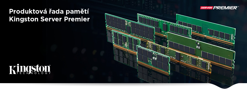 Kingston Server Premier