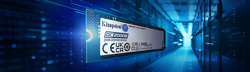 Kingston DC2000B